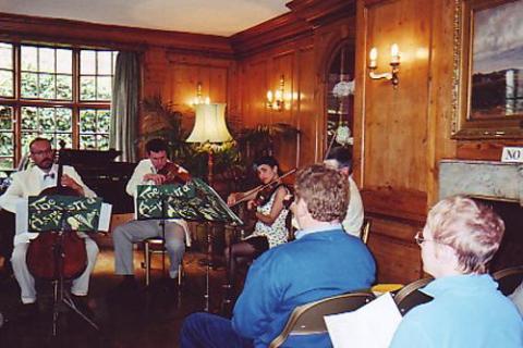 Aspidistra 10