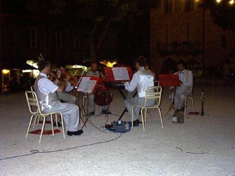 Aspidista 13